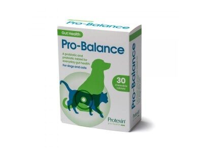 Complementary feed for dogs and cats Protexin Pro-Balance for the restoration of the microflora of the digestive tract